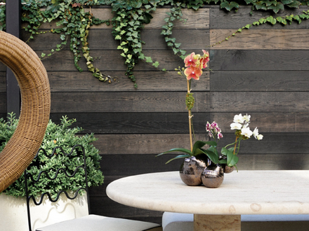 FLORA FOCUS WITH LOVE ME NOT