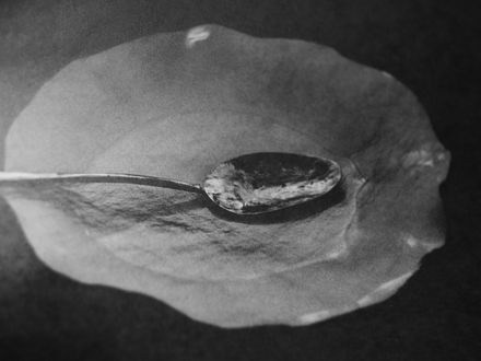 UNVEILING TERRA WITH  KELLEY SHAFFER