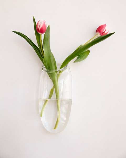 Wall Vase in Clear