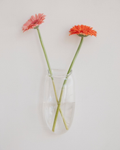 Load image into Gallery viewer, Wall Vase in Clear
