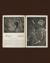 Load image into Gallery viewer, Brooklyn No. 017
