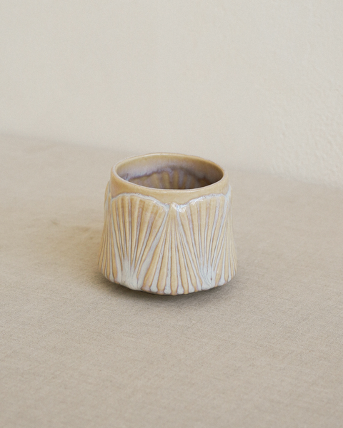 Scallop Cup Rising Sun