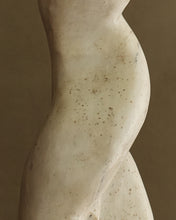 Load image into Gallery viewer, Sculpture No. 192
