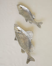 Load image into Gallery viewer, Fish Dish Set
