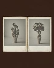 Load image into Gallery viewer, Desear ll
