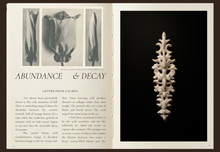 Load image into Gallery viewer, High Ornaments

