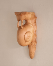 Load image into Gallery viewer, Snail Shelf

