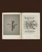 Load image into Gallery viewer, Brooklyn No. 009
