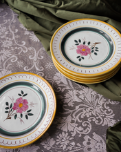 Load image into Gallery viewer, Hand-Painted Ceramic Dinner Plates
