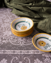 Load image into Gallery viewer, Hand-Painted Ceramic Bowls
