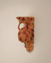 Load image into Gallery viewer, Snail Shelf
