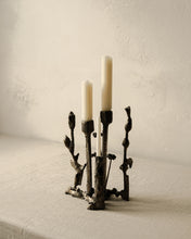 Load image into Gallery viewer, Flourishing Candelabra
