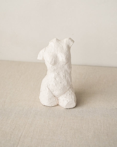Curve Torso