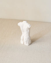 Load image into Gallery viewer, Fold Torso
