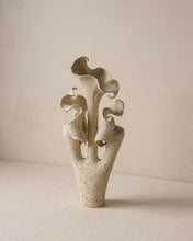 Load image into Gallery viewer, Desear ll
