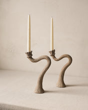 Load image into Gallery viewer, Desert Flower Candlestick Pair

