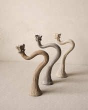 Load image into Gallery viewer, Desert Flower Candlestick Pair
