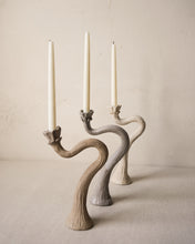 Load image into Gallery viewer, Desert Flower Candlestick Pair

