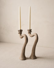 Load image into Gallery viewer, Desert Flower Candlestick Pair
