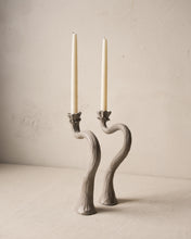 Load image into Gallery viewer, Desert Flower Candlestick Pair
