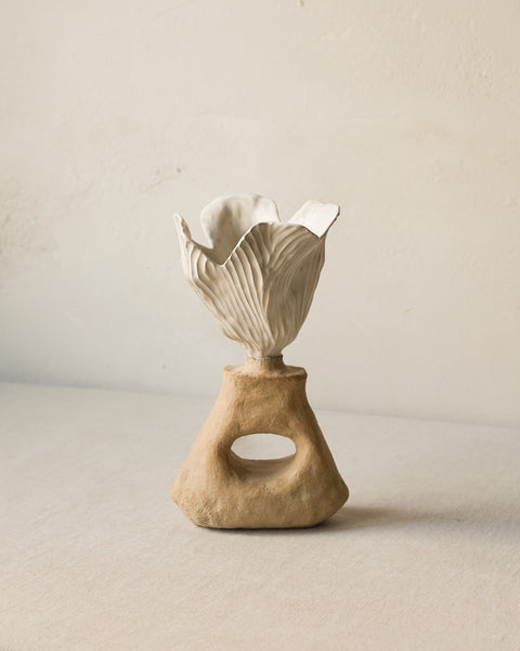 From The Ancient Seas I