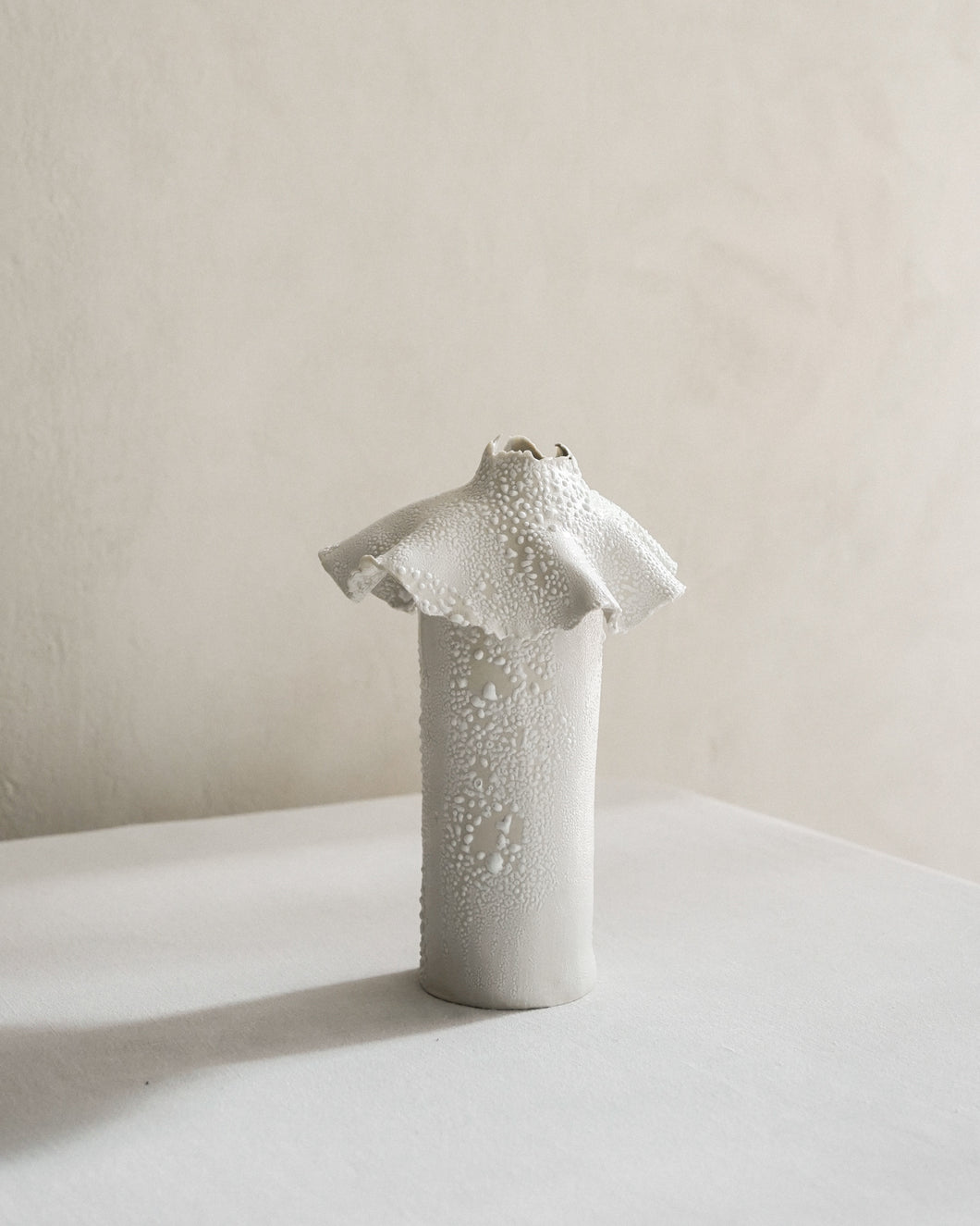 Barnacle Vase in White Lichen