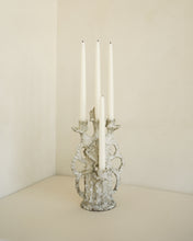 Load image into Gallery viewer, Candelabra Shell
