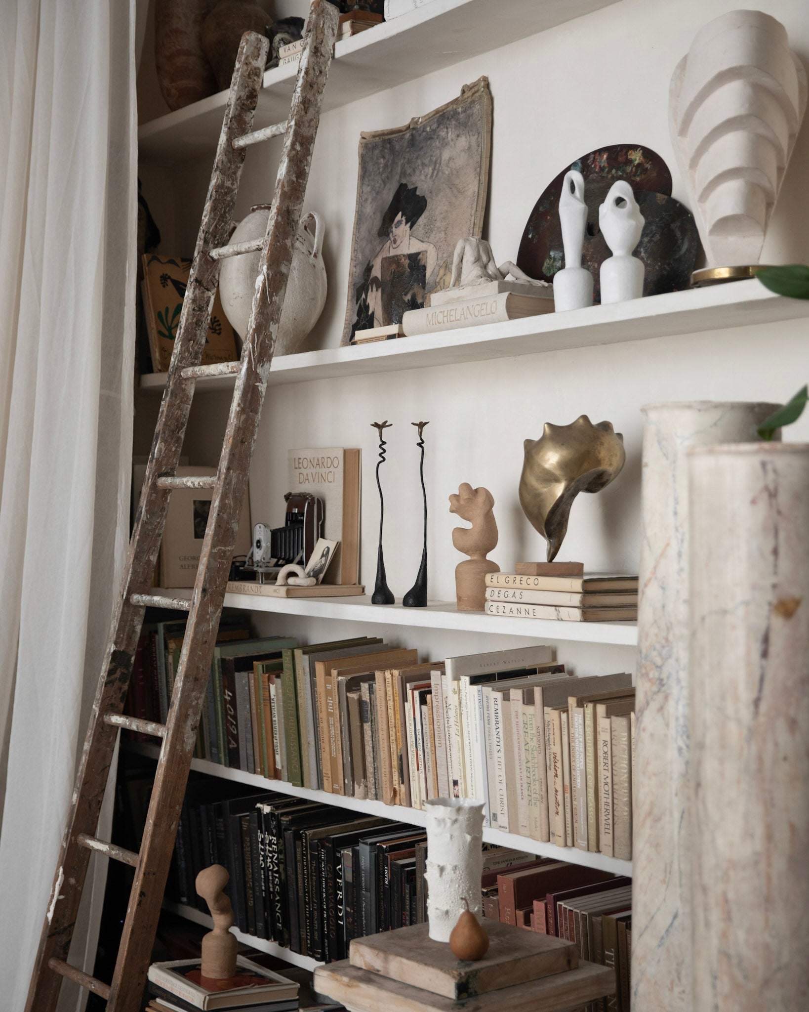 Cattleyas – LES Collection