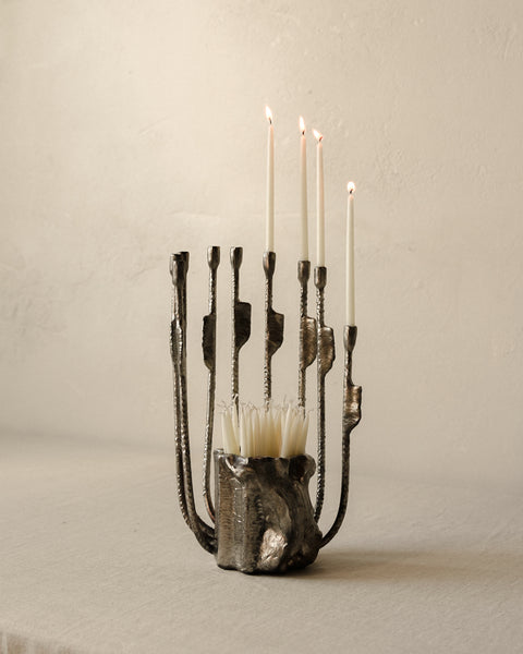 Evolving Menorah No. 1