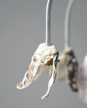 Load image into Gallery viewer, Shell Chandelier
