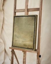 Load image into Gallery viewer, Olive Groves
