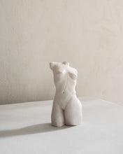 Load image into Gallery viewer, Smooth Torso
