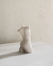 Load image into Gallery viewer, Smooth Torso
