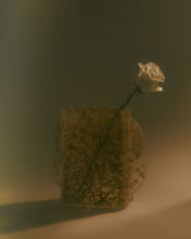 Load image into Gallery viewer, Forever Vase I
