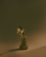 Load image into Gallery viewer, Flowers Are Forever
