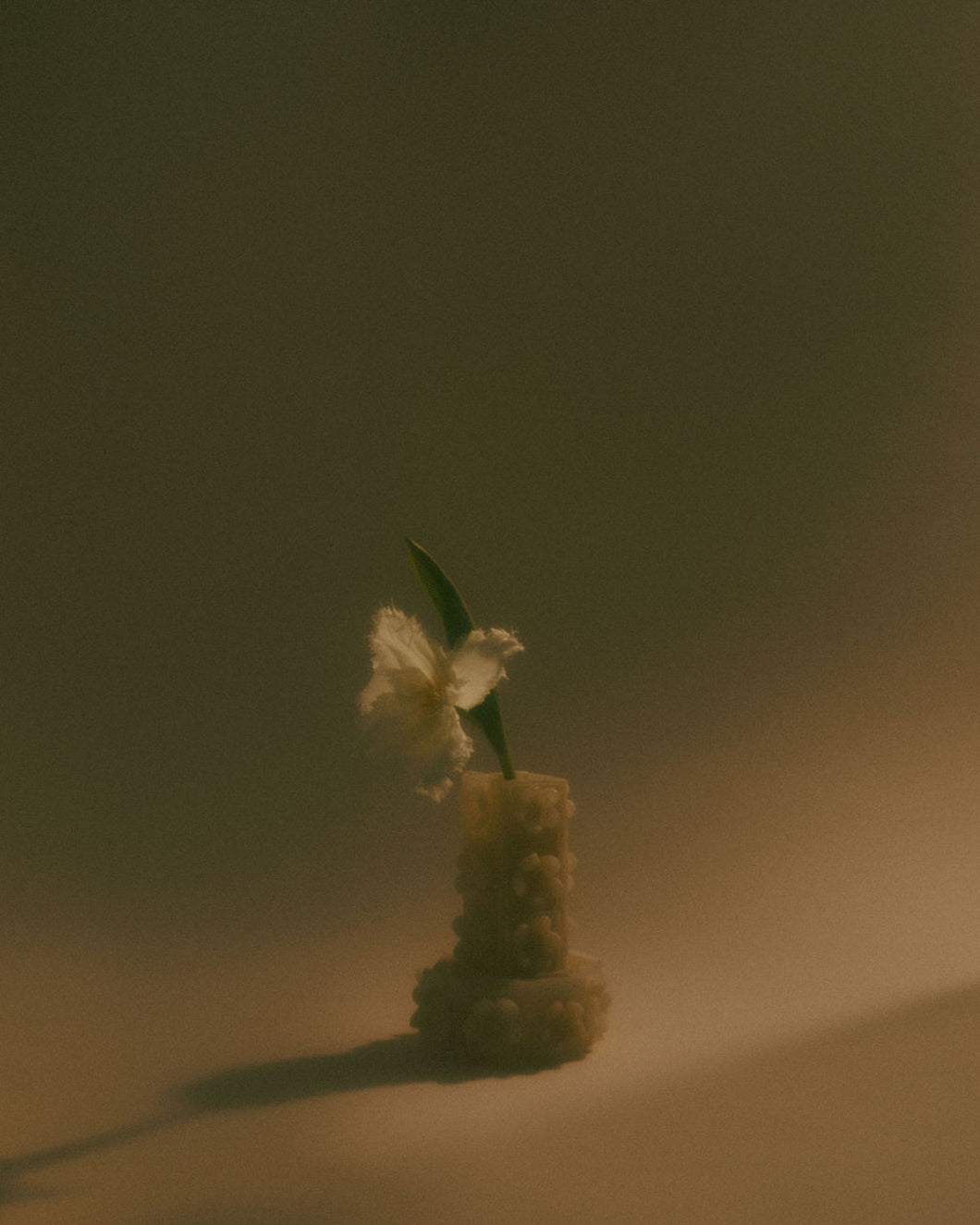 Flowers Are Forever