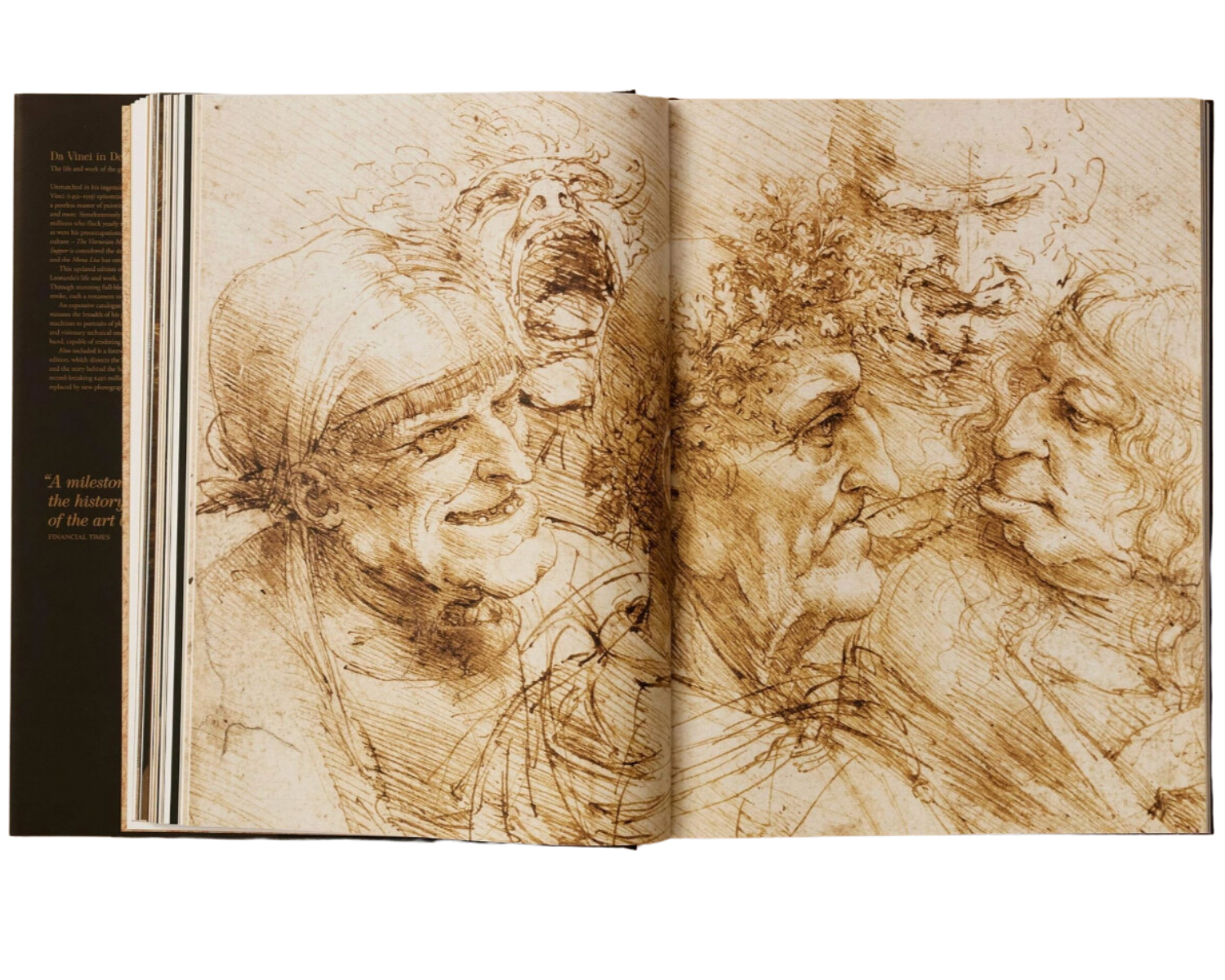Leonardo: The Complete Paintings and Drawings – LES Collection