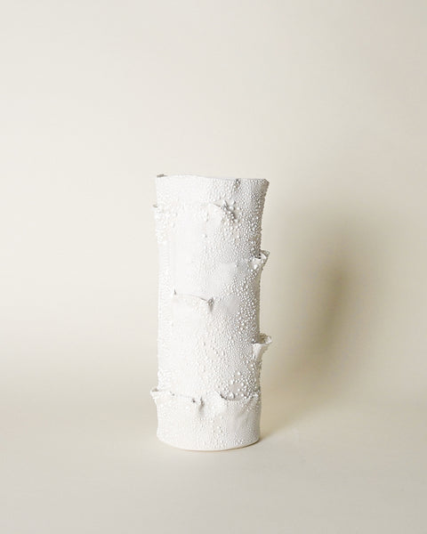 Ribbon Vase in White Lichen