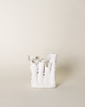 Load image into Gallery viewer, Coral Vase in White Lichen
