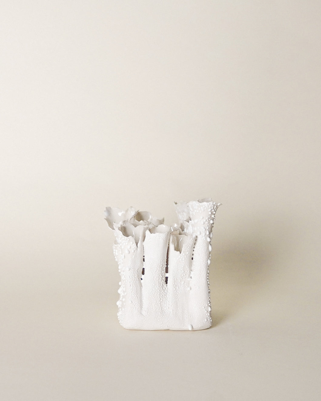 Coral Vase in White Lichen