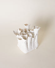 Load image into Gallery viewer, Coral Vase in White Lichen
