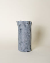 Load image into Gallery viewer, Cylinder Vase in Black Lichen
