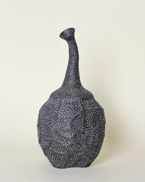 Galaxy Vessel No. 4